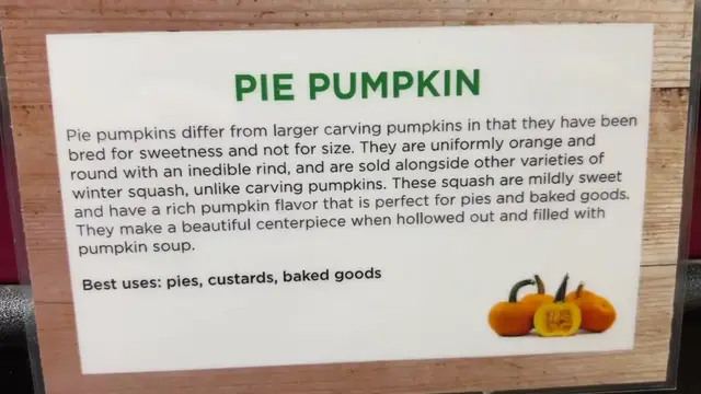 Video thumbnail for The REAL way to make pumpkin purée (and why you should)(720P 60FPS)