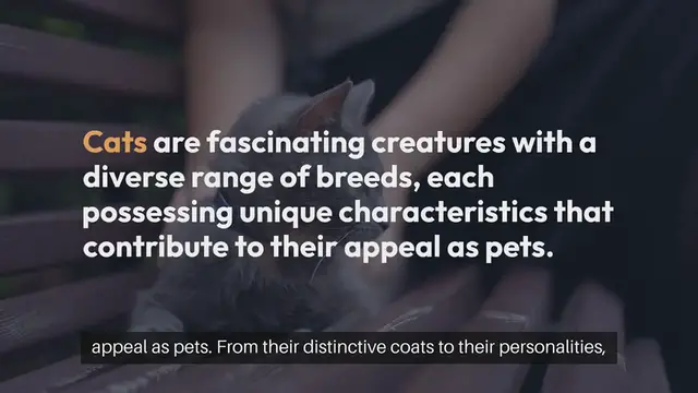 'Video thumbnail for All About Cats Breeds and Characteristics'