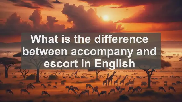 Video thumbnail for What is the difference between accompany and escort in English?