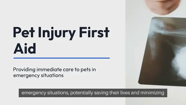 Video thumbnail for Pet Injury First Aid