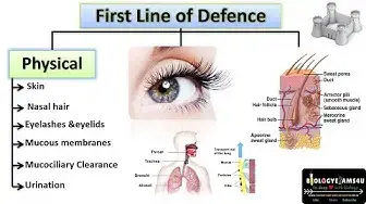 Video thumbnail for Physical Barriers of Innate Immunity | Immunology | @biologyexams4u