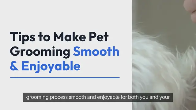 Video thumbnail for Pet Grooming Tips