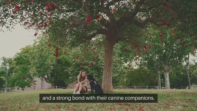 Video thumbnail for Dog Obedience Training For Kids