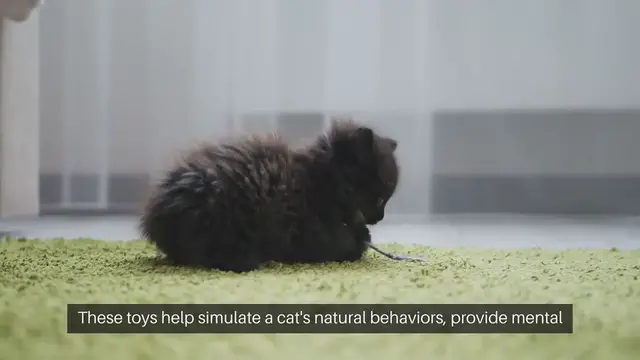 Video thumbnail for Cat Environmental Enrichment Toys