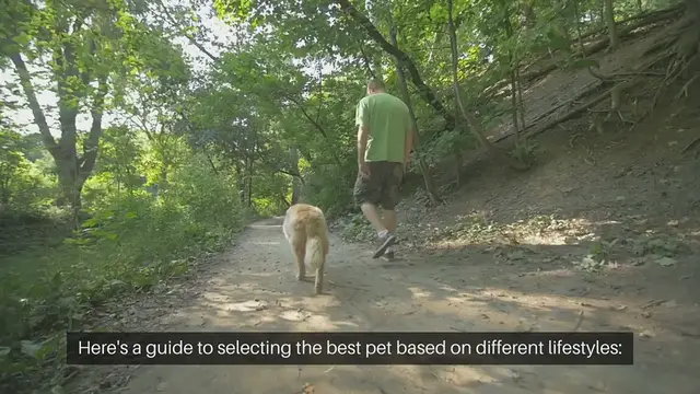 Video thumbnail for Best Pets For Different Lifestyles