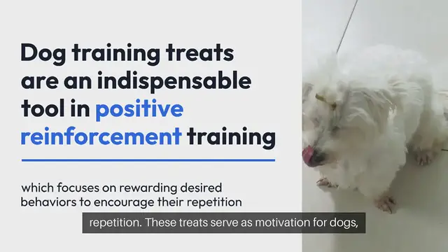 Video thumbnail for Dog Training Treats