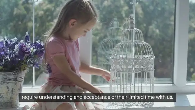 Video thumbnail for Pets With Short Lifespans