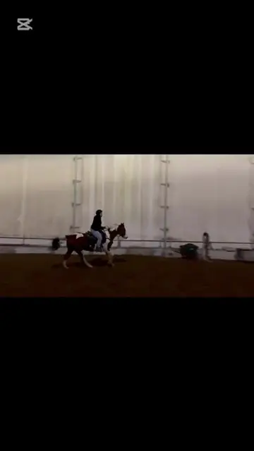'Video thumbnail for Callie Berniquer'