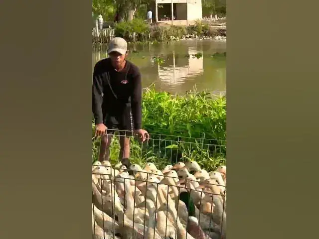 Video thumbnail for December 1, 2022