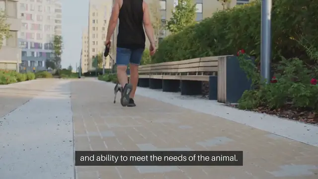 Video thumbnail for Deciding on the Best Pet For You