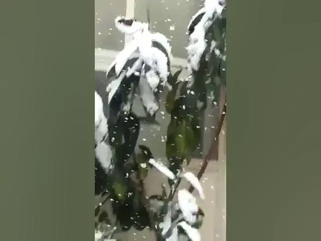 Video thumbnail for Snowfall in Italy Succivo caserta Italy