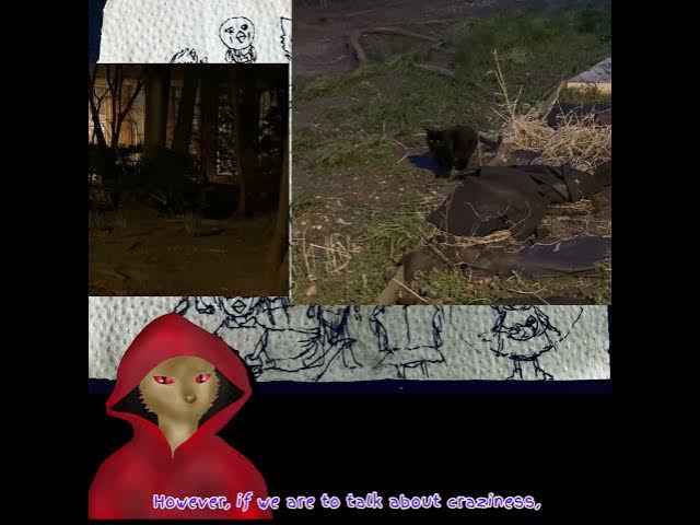 Video thumbnail for Black Cat Select His Wizard: We made a new friend. Welcome to SquirrellingStreet buddy! #indiedev