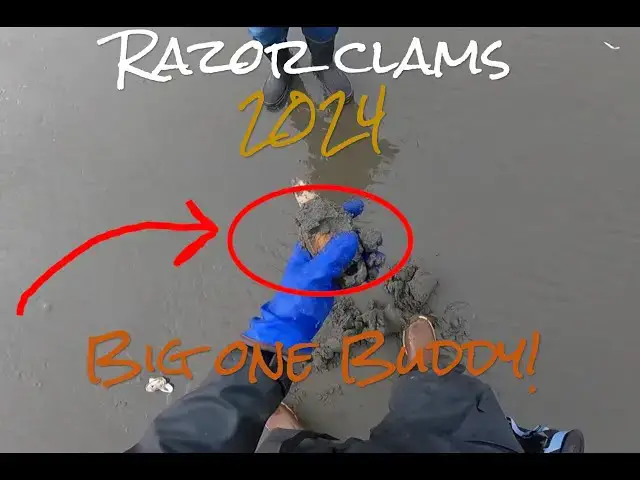 Video thumbnail for Razor CLAMS on Copalis Beach -Big one buddy!