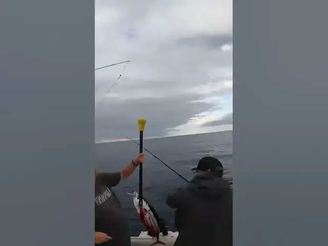 'Video thumbnail for Catching a tuna while jigging with two rods at the same time! 😂'