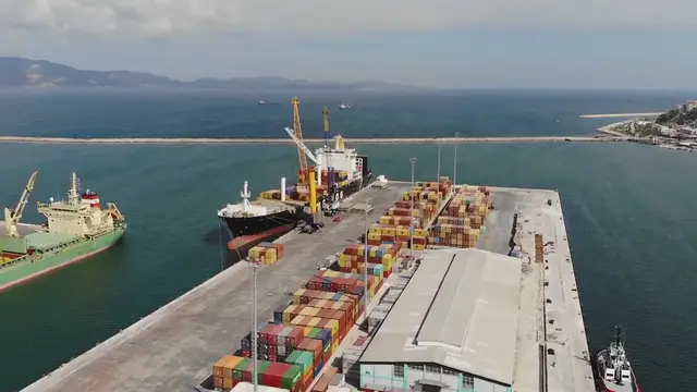 Video thumbnail for The Impact of Global Supply Chains on Financial Markets