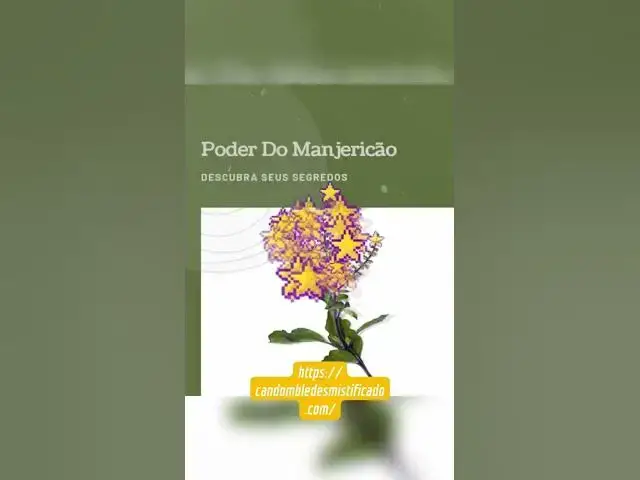 Video thumbnail for 6 de novembro de 2024