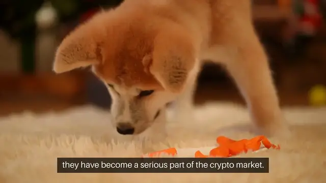 'Video thumbnail for Top 5 Meme Coins of 2025 | Best Crypto Meme Coins to Watch Now'