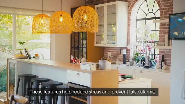 'Video thumbnail for Pet Centric Security Features'
