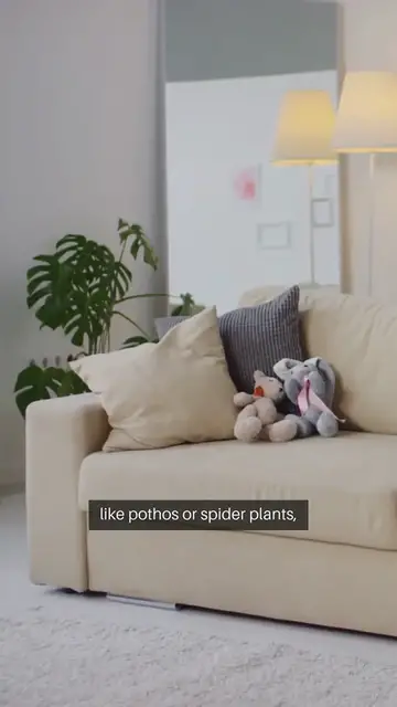 Video thumbnail for Indoor Gardening For Beginners