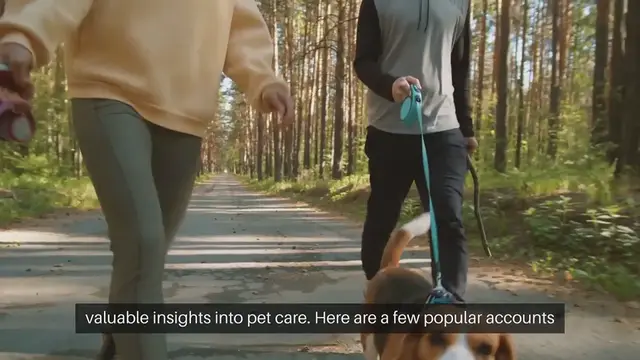 Video thumbnail for Pet Social Media Accounts to Follow