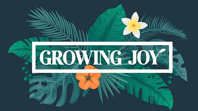 Video thumbnail for How to Create a Hummingbird Garden // Attract More Pollinators to your Garden!