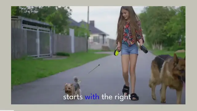 'Video thumbnail for grooming your german shepherd'
