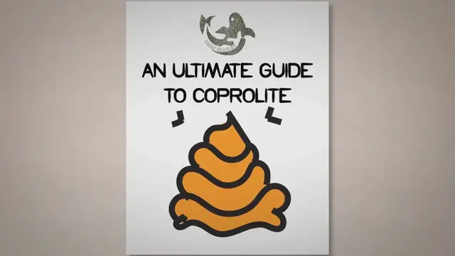 'Video thumbnail for An Ultimate Guide to Coprolite: The Fossilized Feces'