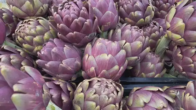 Video thumbnail for How to Grow Artichokes Successfully: A Green Thumb’s Guide with a Side of Humor