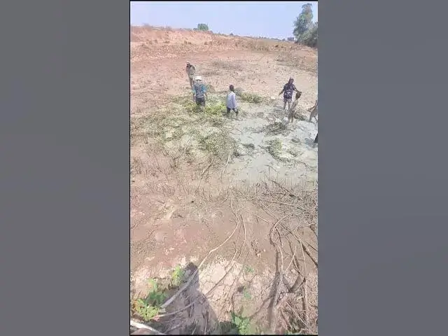 Video thumbnail for Cast net Catch Fish A lot 8 #fish #viralfish #catchingfish #fishgrill #friedfish #redfish #blackfis