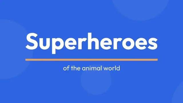 Video thumbnail for  Top Earning Veterinary Careers: Where Passion Meets Paycheck