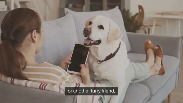 Video thumbnail for Creating a Safe Outdoor Space for Pets