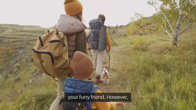 'Video thumbnail for Camping with Pets Tips'