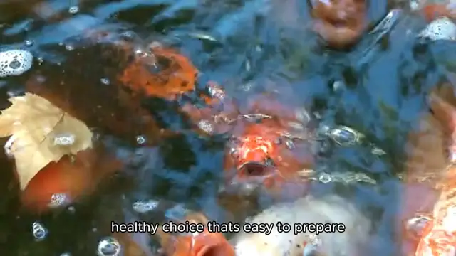 Video thumbnail for sockeye salmon recipe