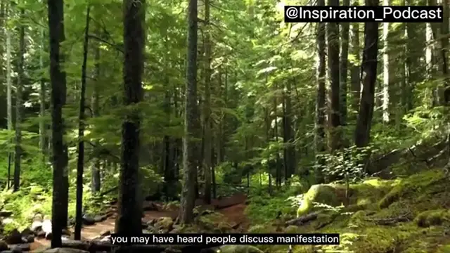 Video thumbnail for How To Create A Vision Board For Manifestation