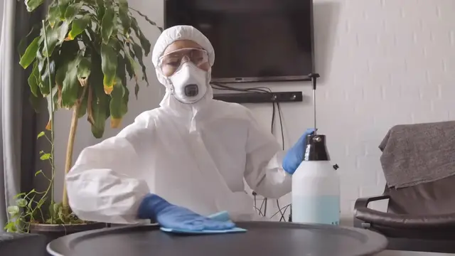 'Video thumbnail for 10 Effective Ways to Eliminate Maggots and Prevent Their Return'