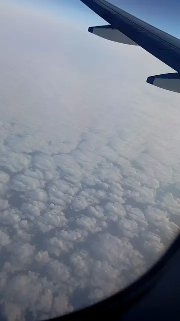 Video thumbnail for 1000107740