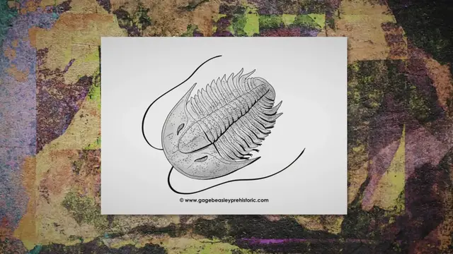 'Video thumbnail for An Ultimate Guide to Trilobites: The Three-Lobed Arthropods'