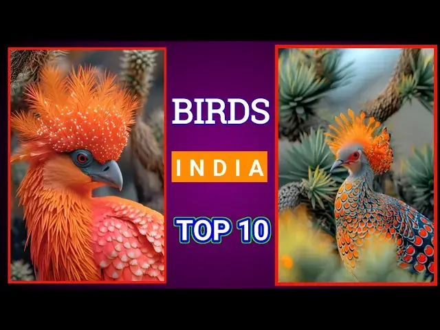 Video thumbnail for Bird Lovers #viralreels #birds