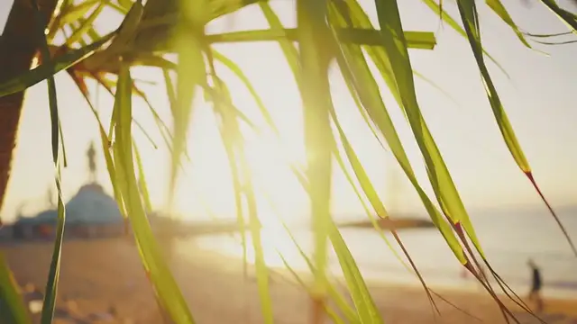 Video thumbnail for Coconut Flan: The Dessert That’ll Steal Your Heart (and Your Waistline)