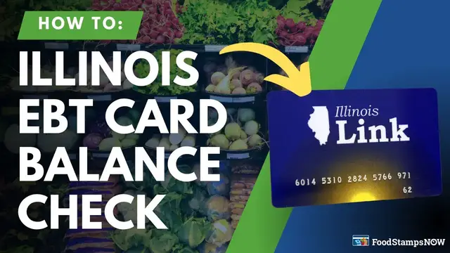 Video thumbnail for Illinois Link Card Balance Check Instructions