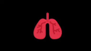 'Video thumbnail for What to Do If You Breathe Ozone – Quick Safety Guide080 Breathe Easy_ What To Do After Ozone Exp 2025-09-10 (1)'