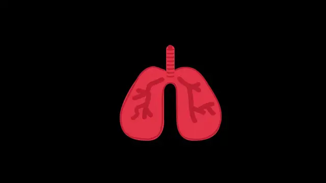 'Video thumbnail for What to Do If You Breathe Ozone – Quick Safety Guide080 Breathe Easy_ What To Do After Ozone Exp 2025-09-10 (1)'
