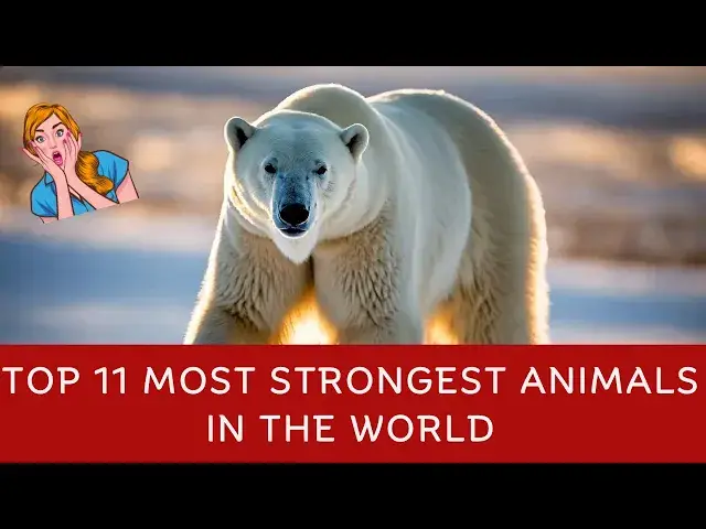 'Video thumbnail for Top 11 Most Strongest Animals in the World'