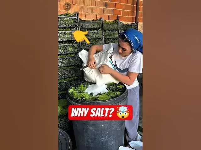 Video thumbnail for Why Are Grape Leaves🍁Covered in Salt? 🤯 #facts #dolma #usa #shorts #recipe #food #cooking