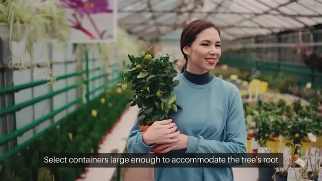 Video thumbnail for Best Containers for Fruit Trees