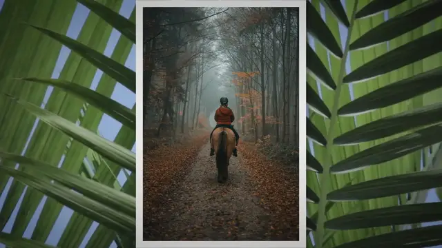 Video thumbnail for Top ten fastest horse breeds in the world – Ride one and be glad!