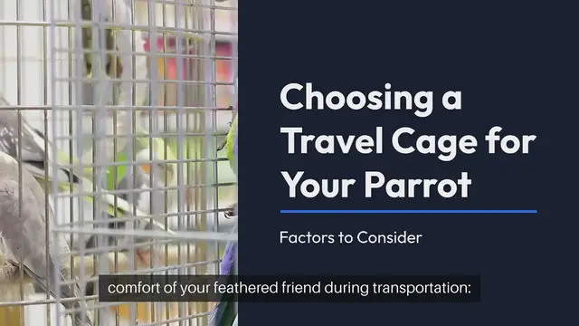 Video thumbnail for Parrot Travel Cage Options