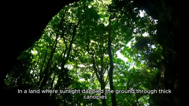 'Video thumbnail for The Whispering Woods'
