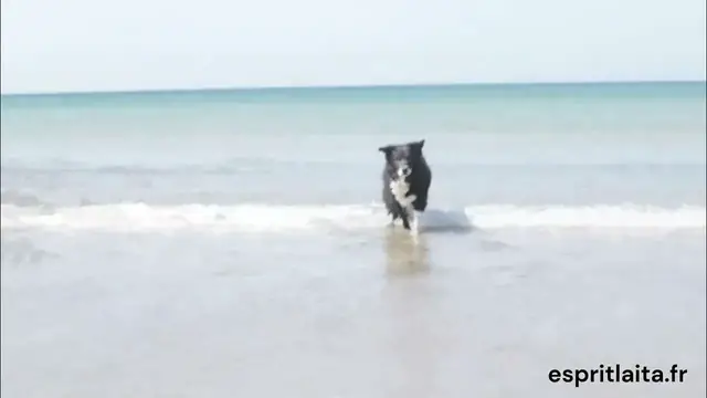 'Video thumbnail for La plage du fort Bloqué'