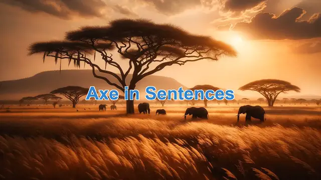 Video thumbnail for Axe In Sentences, Example of Axe In Sentences